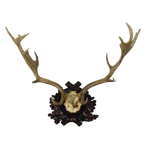 Kaiser Wilhelm II Mount