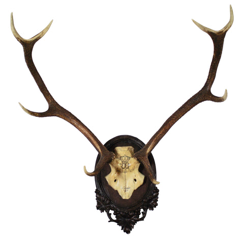 Kaiser Wilhelm II Mount